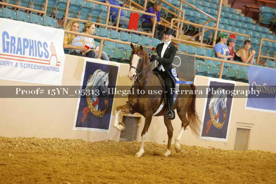 Proof 15YN_05313