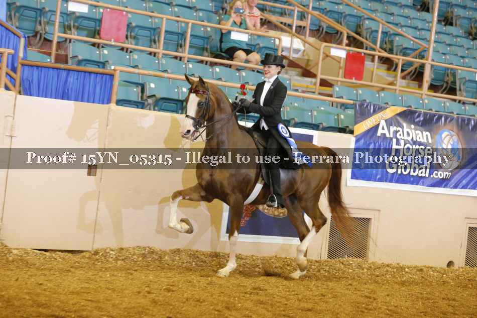 Proof 15YN_05315