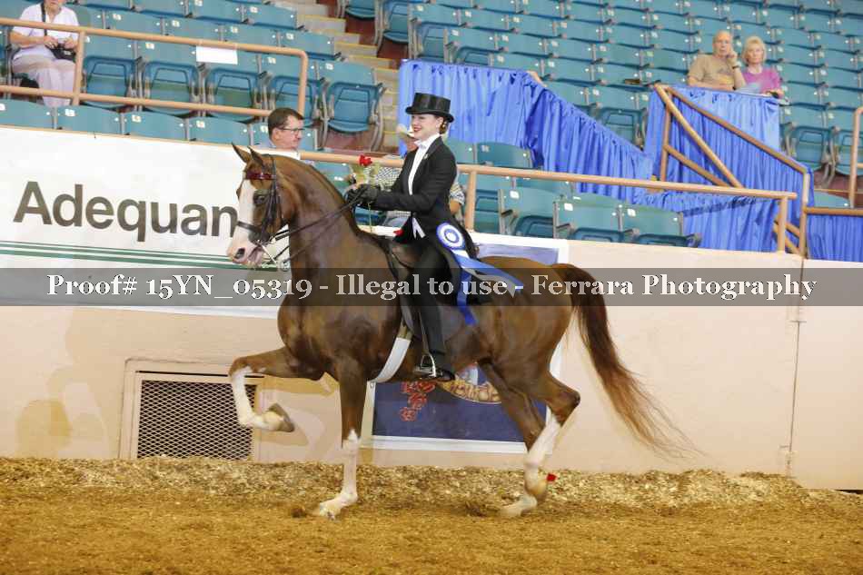 Proof 15YN_05319