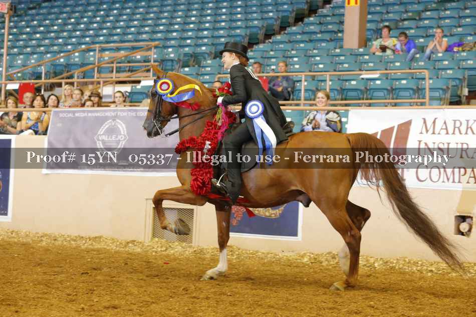 Proof 15YN_05337