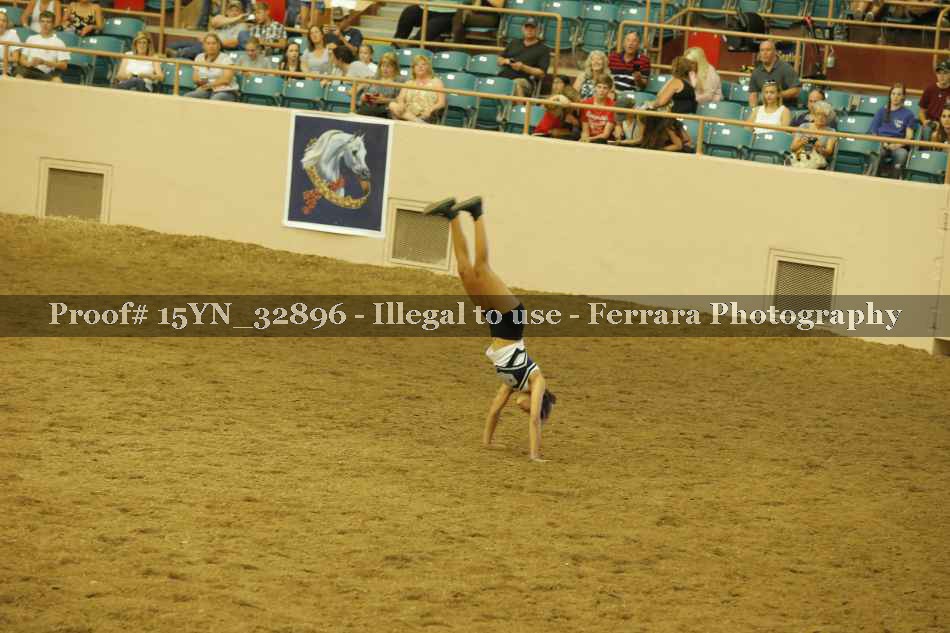 Proof 15YN_32896