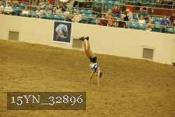 15YN_32896 proof