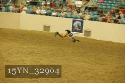15YN_32904 proof