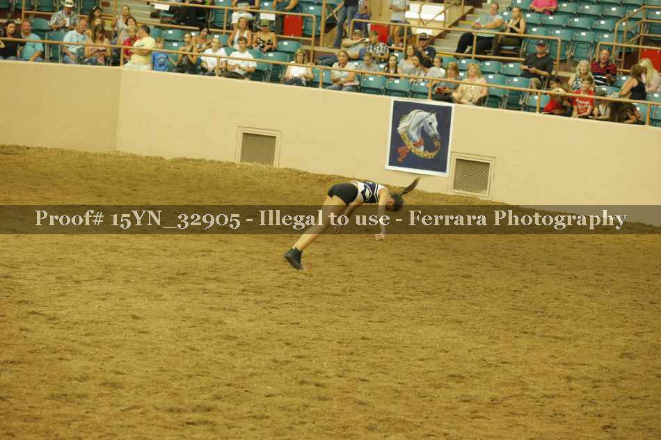 Proof 15YN_32905