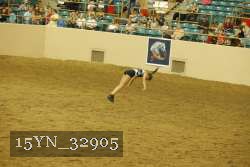 15YN_32905 proof