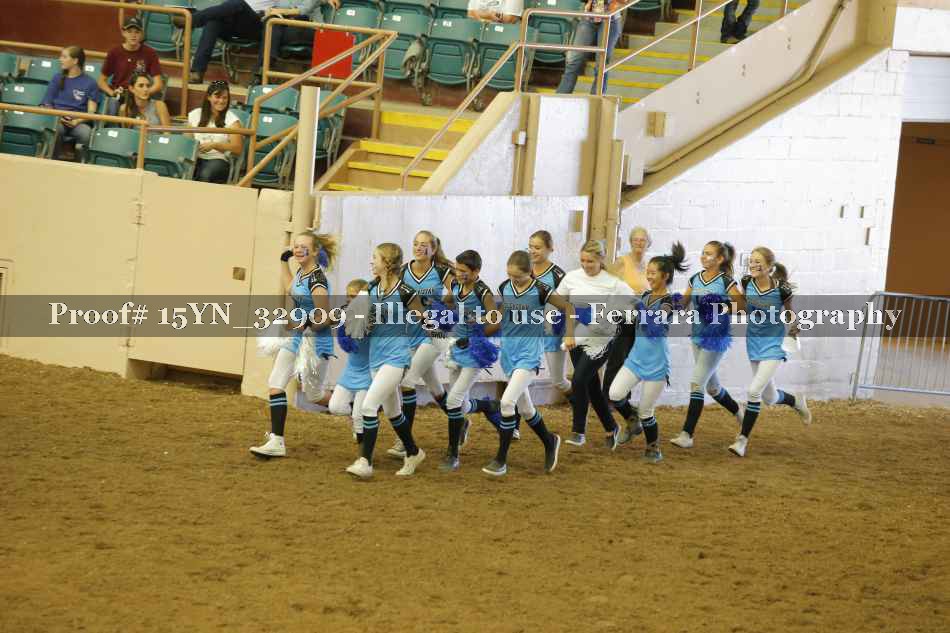Proof 15YN_32909