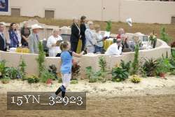 15YN_32923 proof