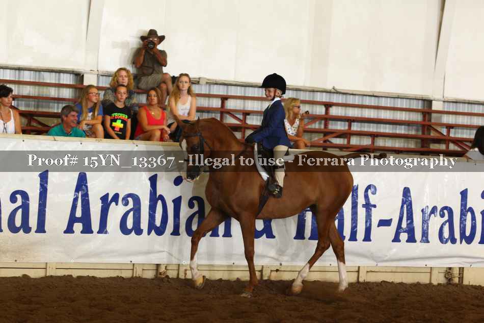 Proof 15YN_13367