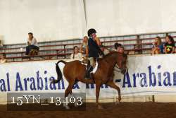 15YN_13403 proof
