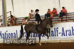 15YN_16154 proof