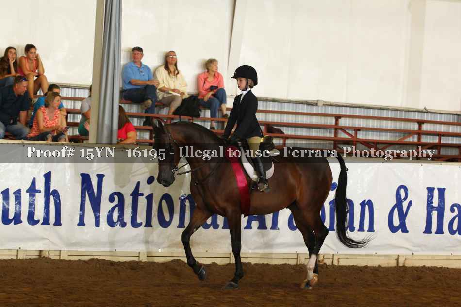 Proof 15YN_16195