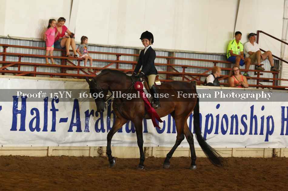Proof 15YN_16196
