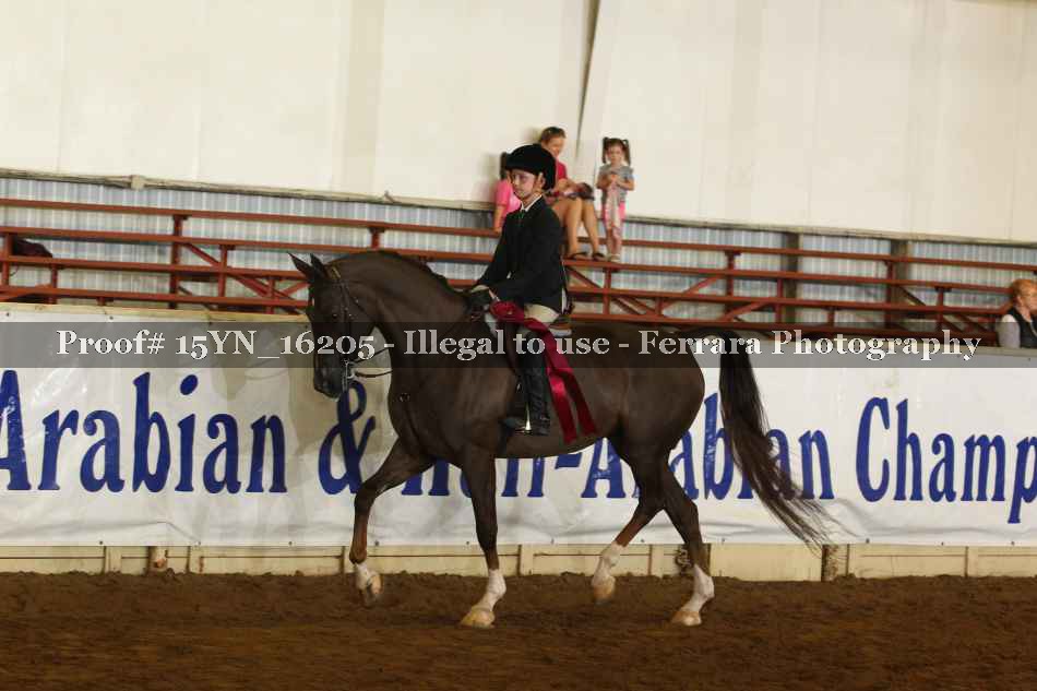 Proof 15YN_16205
