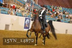 15YN_14872 proof