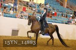 15YN_14883 proof