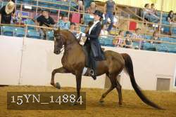 15YN_14884 proof
