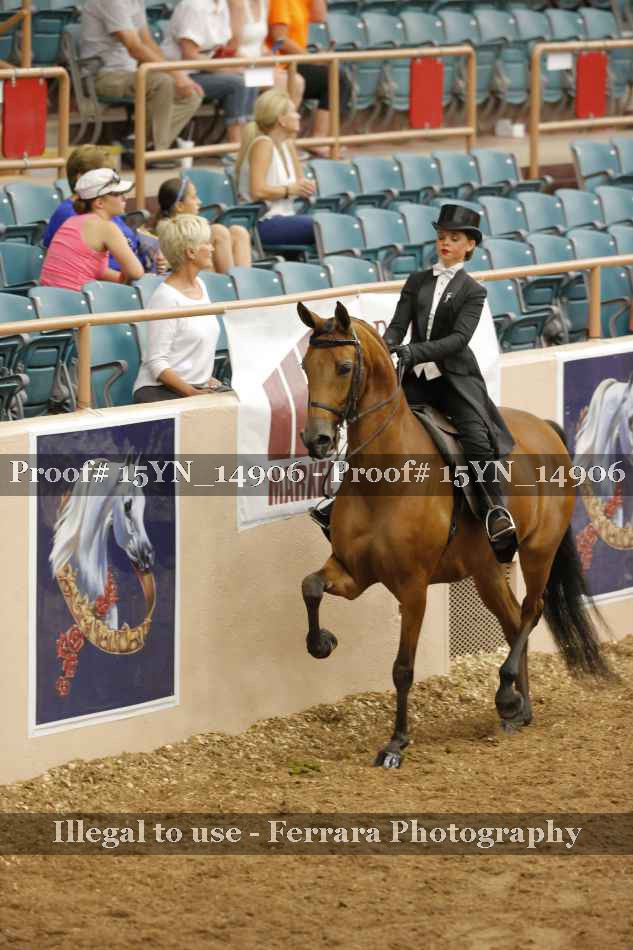 Proof 15YN_14906