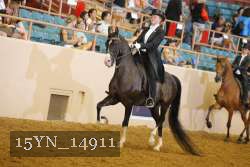 15YN_14911 proof