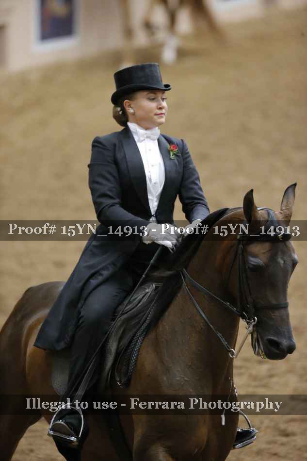 Proof 15YN_14913