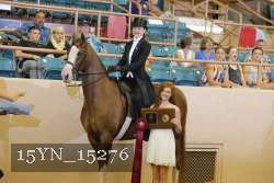 15YN_15276 proof