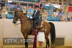 15YN_15278 proof