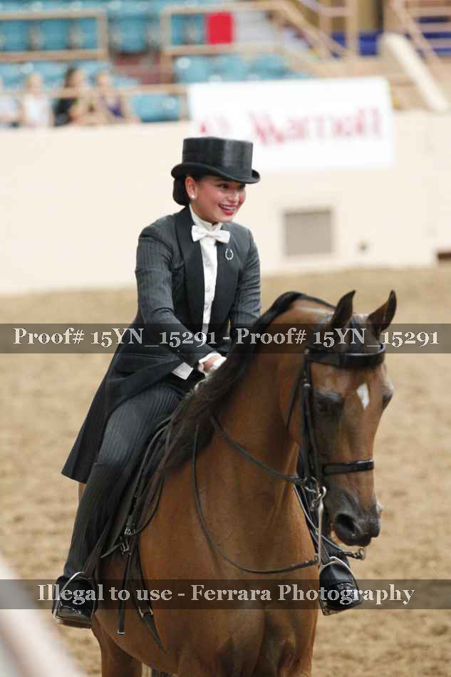 Proof 15YN_15291