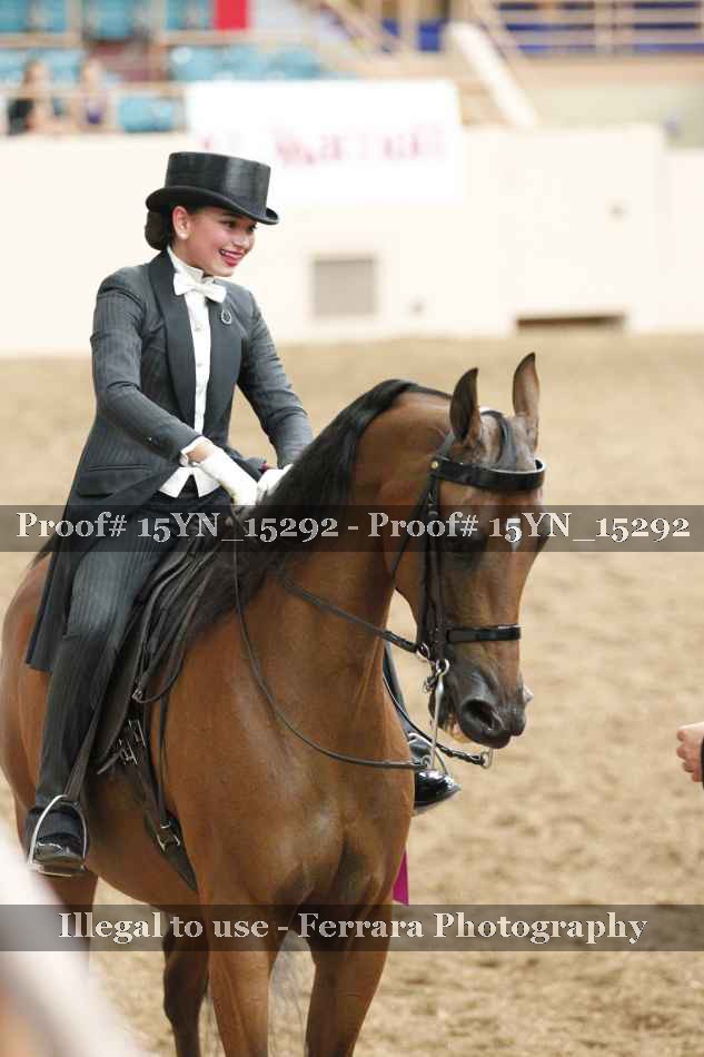 Proof 15YN_15292