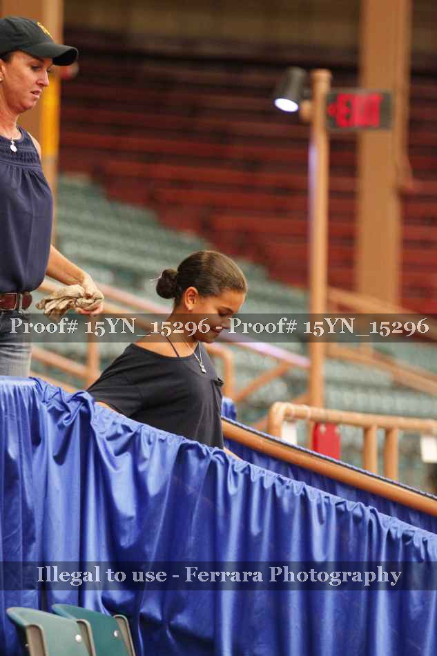 Proof 15YN_15296