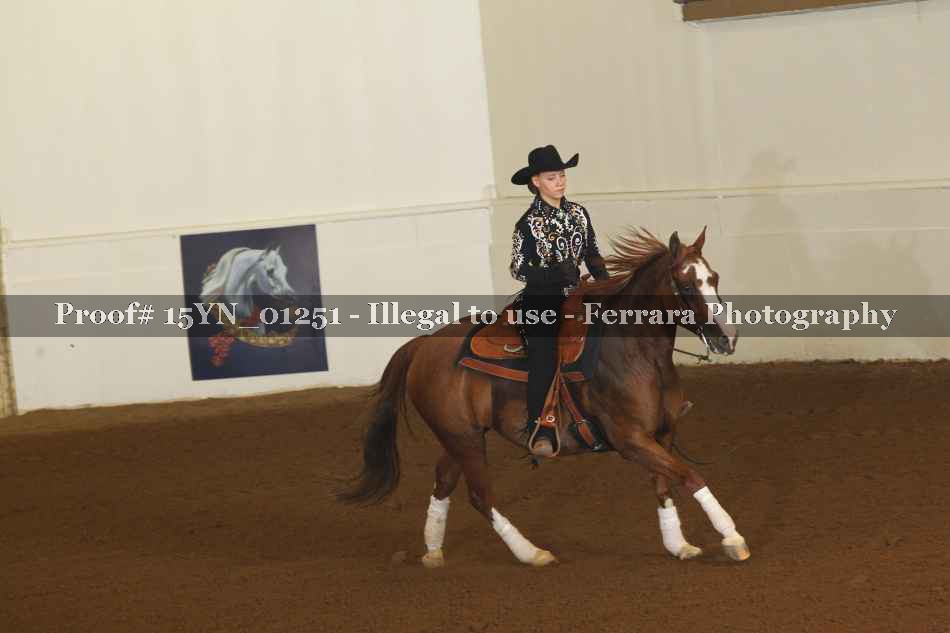 Proof 15YN_01251