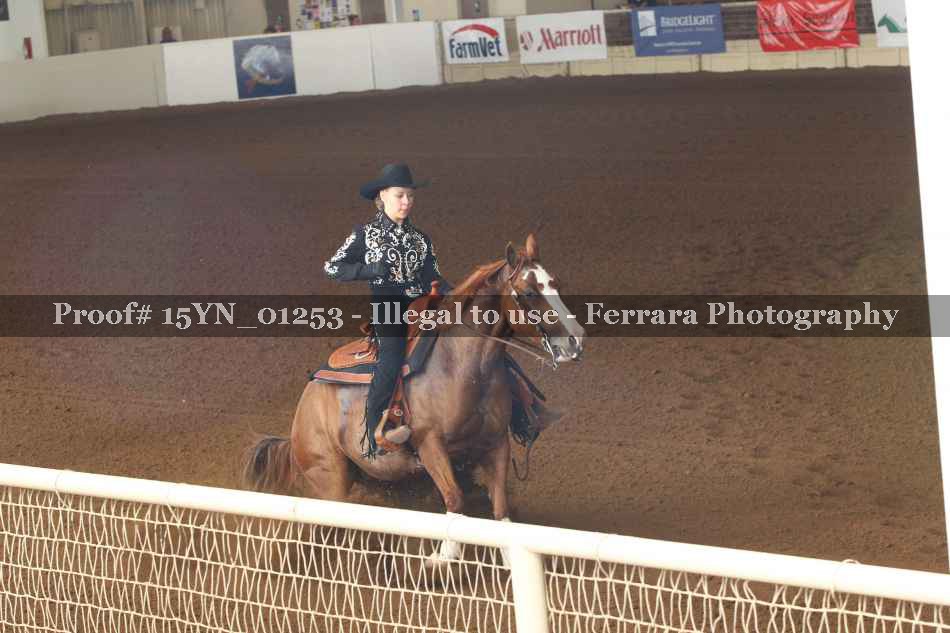 Proof 15YN_01253