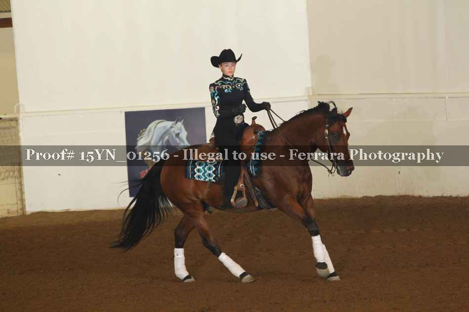 Proof 15YN_01256