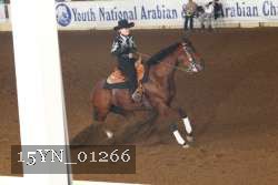 15YN_01266 proof