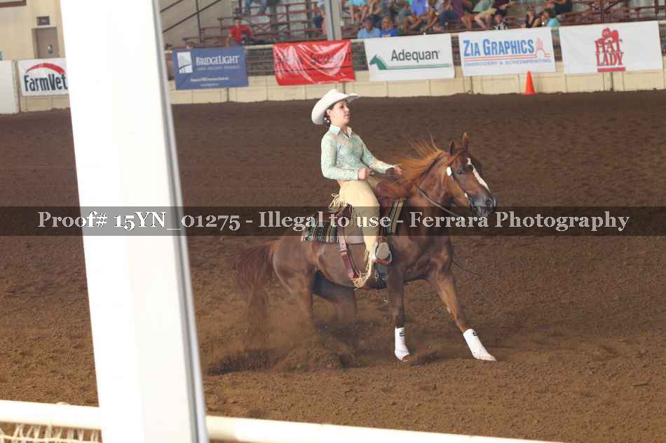 Proof 15YN_01275