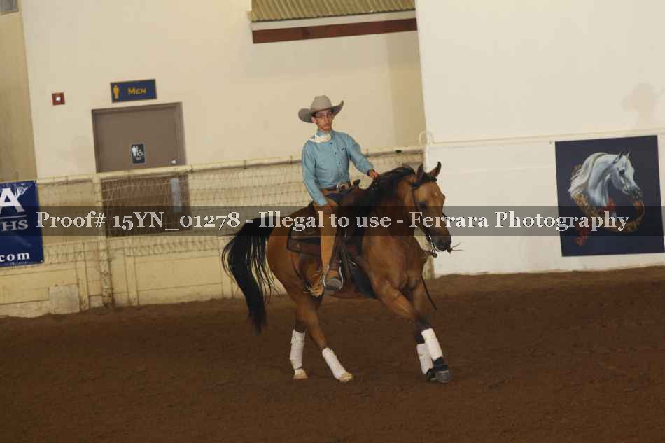 Proof 15YN_01278
