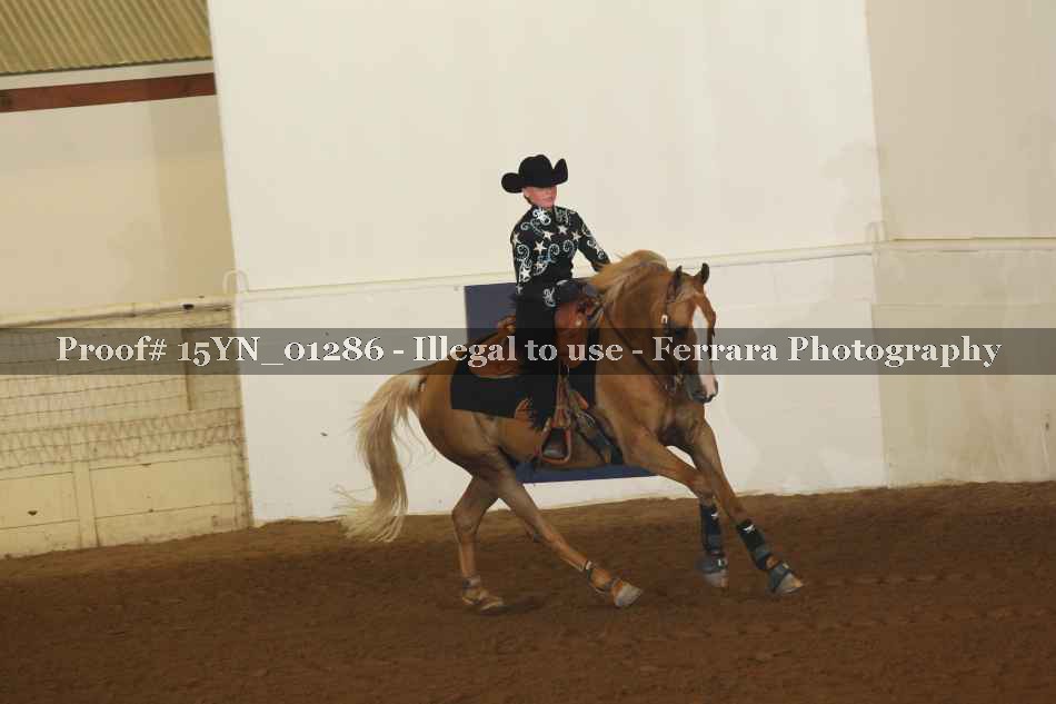 Proof 15YN_01286