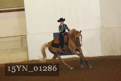 15YN_01286 proof