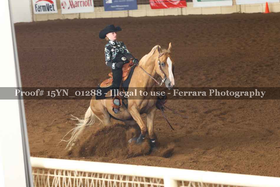 Proof 15YN_01288