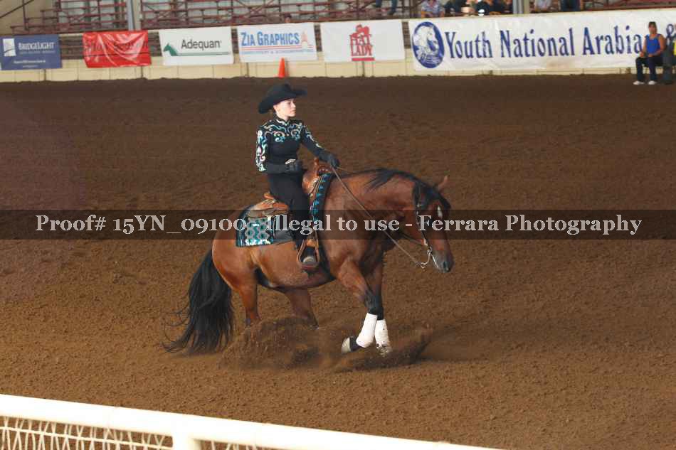 Proof 15YN_09100