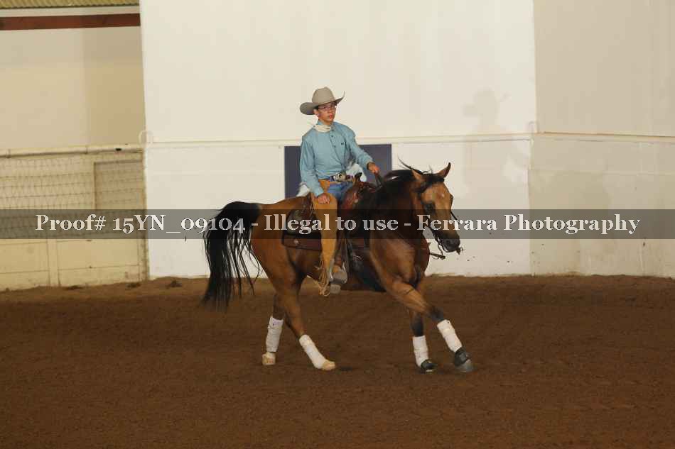 Proof 15YN_09104