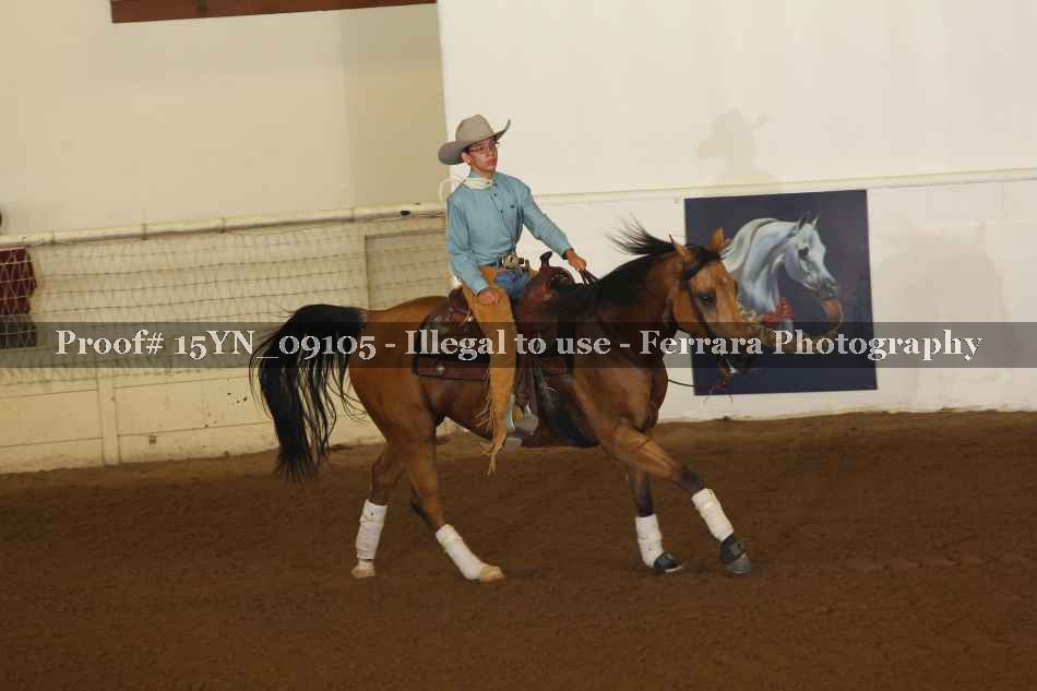 Proof 15YN_09105