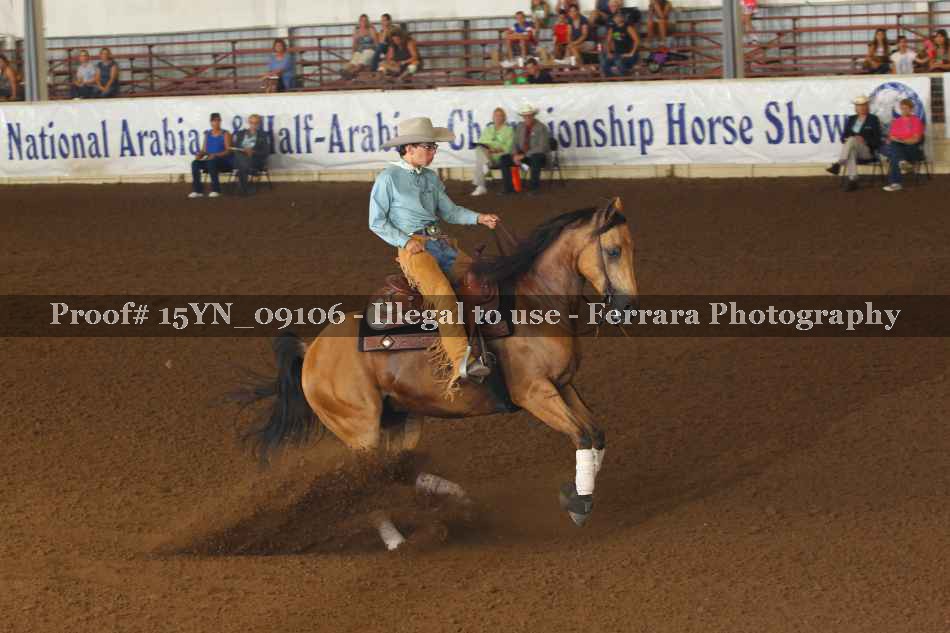 Proof 15YN_09106