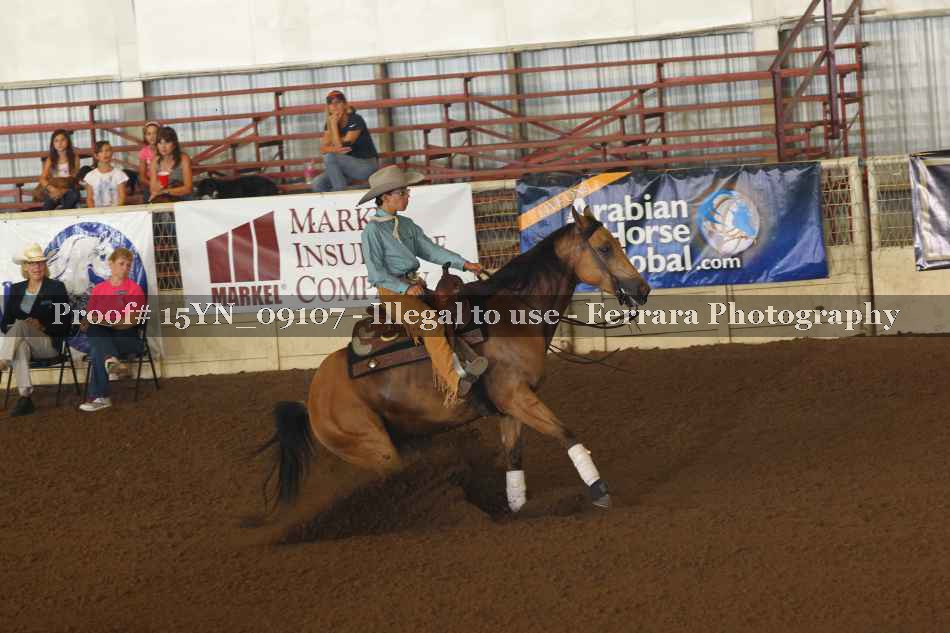 Proof 15YN_09107