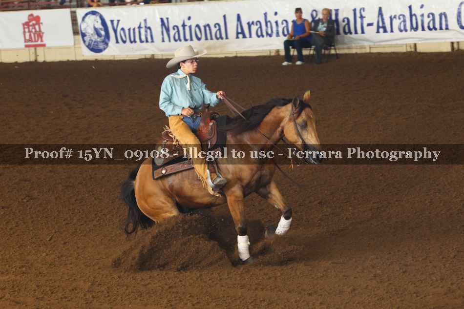 Proof 15YN_09108