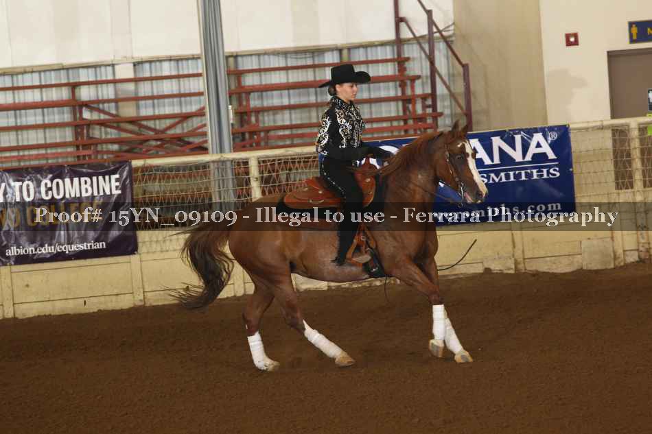 Proof 15YN_09109