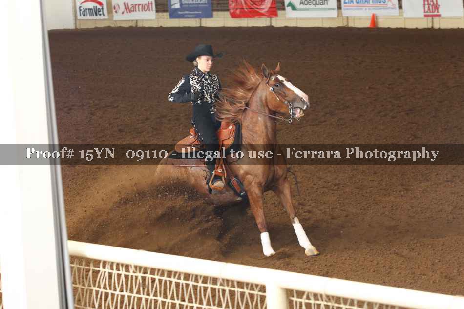 Proof 15YN_09110
