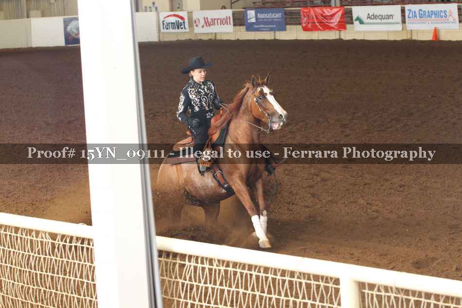 Proof 15YN_09111