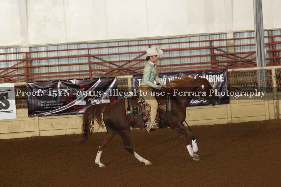 Proof 15YN_09113