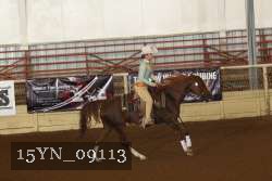 15YN_09113 proof