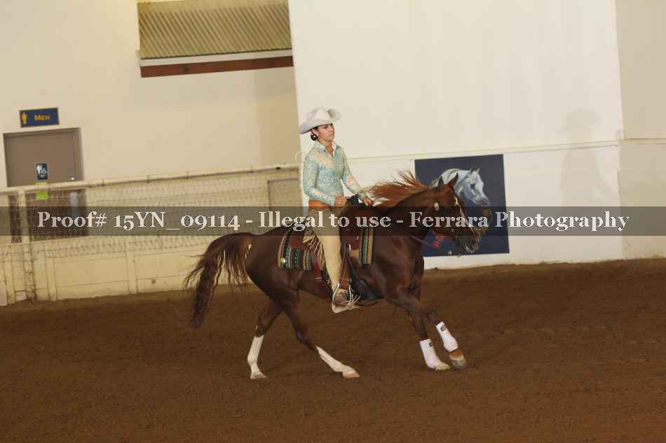Proof 15YN_09114