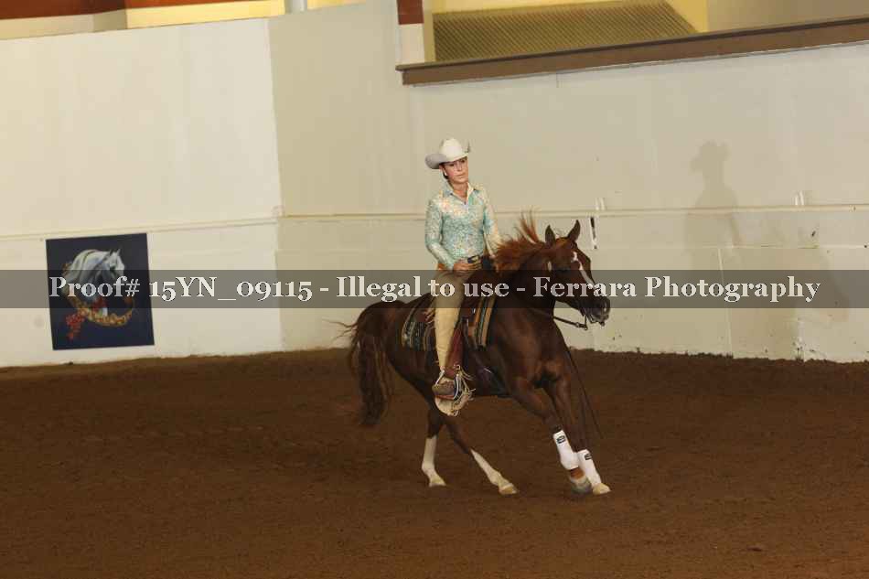 Proof 15YN_09115